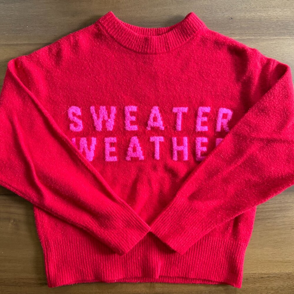 Red and pink graphic sweater weather sweater
